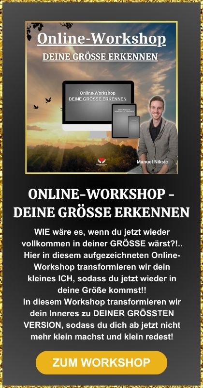 Online-Workshop DEINE GRÖSSE ERKENNEN Shop Widget